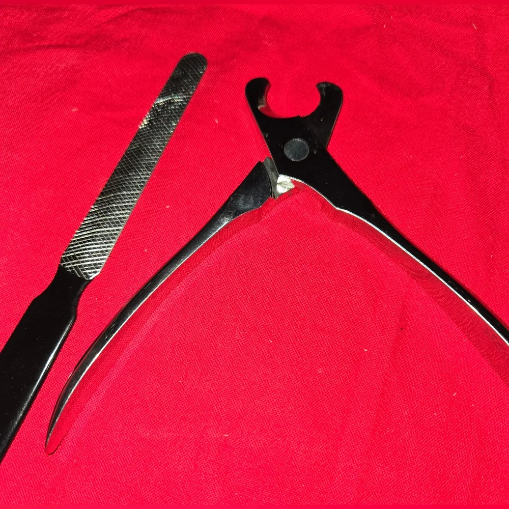 Pet clippers and file